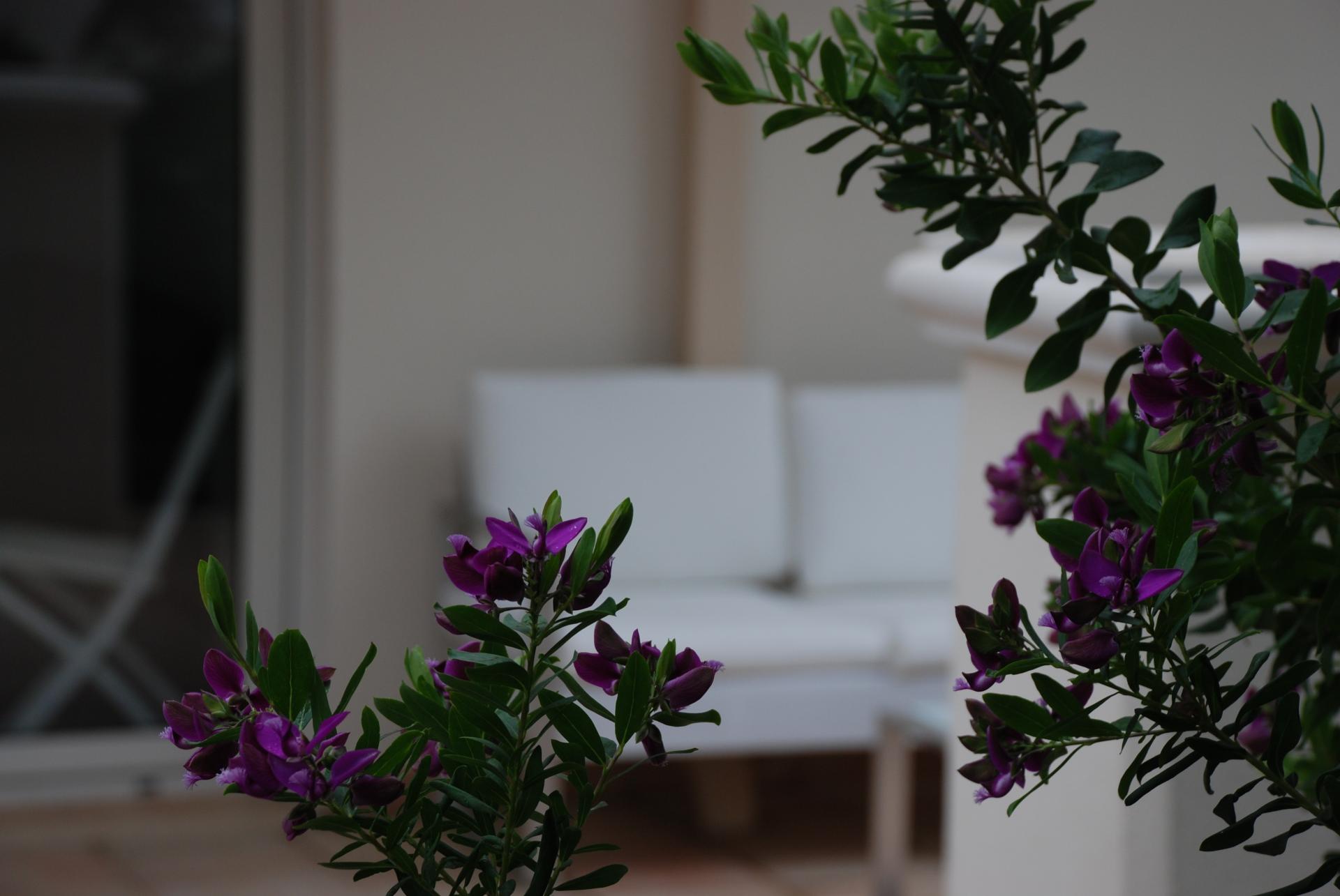 Terrasse de 21 m2